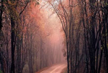 天涯社区论坛里的失子之痛：一个揪心的经历