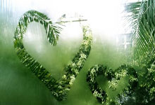 天涯社区首页登录指南：轻松搞定社区入口！