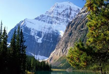 天涯社区论坛里的失子之痛：一个揪心的经历